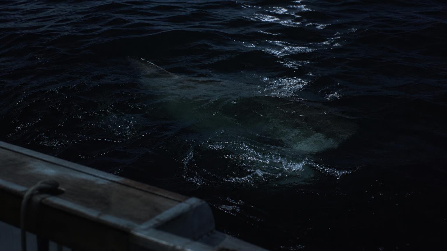 Jaws: recensione del mostro invisibile sotto la superficie