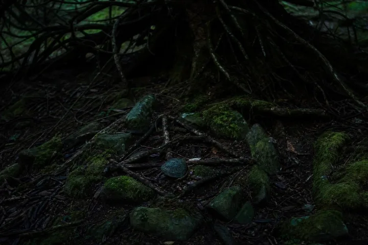 Un dettaglio nel bosco, diverso dal sentiero principale, suggerisce un indizio rituale senza mostrare presenze